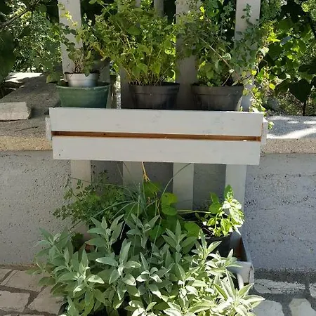 Apartment Zuza